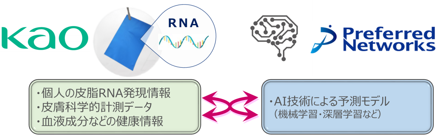 花王とPreferred Networks、皮脂RNAモニタリング技術の実用化に向けて協働プロジェクト開始